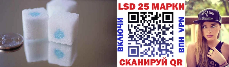 хочу Каргат Лсд 25 экстази ecstasy