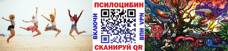 Галлюциногенные грибы Cubensis  Каргат 